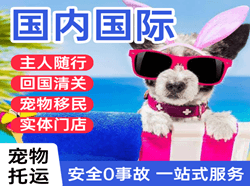 永兴航空货运国际宠物托运 【国